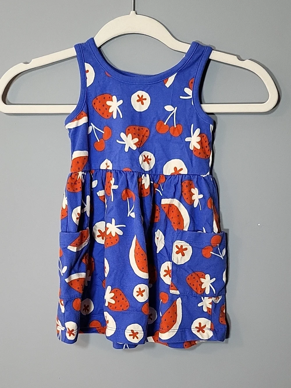 Hanna Andersson Size 3T Sleeveless Playground Dress Pockets Blue Red White Fruit